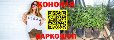 альфа пвп Краснознаменск