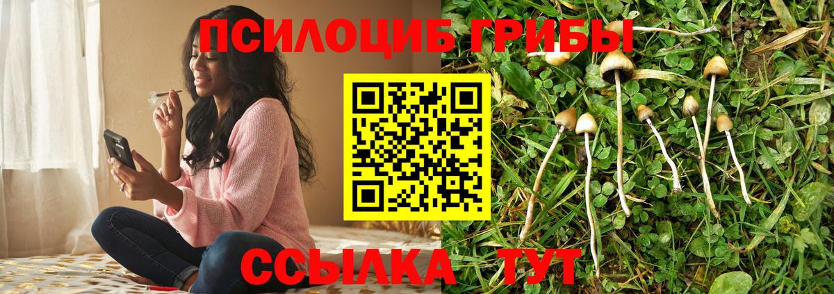 Псилоцибиновые грибы Magic Shrooms  Вход с VPN  Псилоцибиновые грибы мухоморы  Бирск 